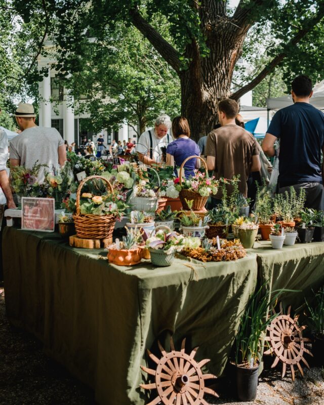 Baskets on Display At Local Market