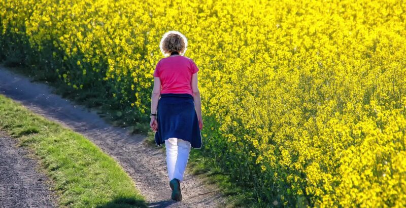 Woman Walking in Field of Yellow Flowers