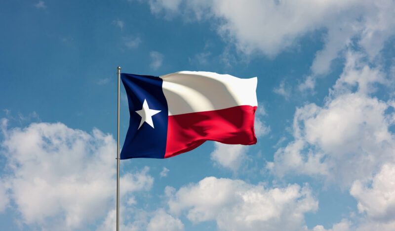 Texas Lone Star State Flag