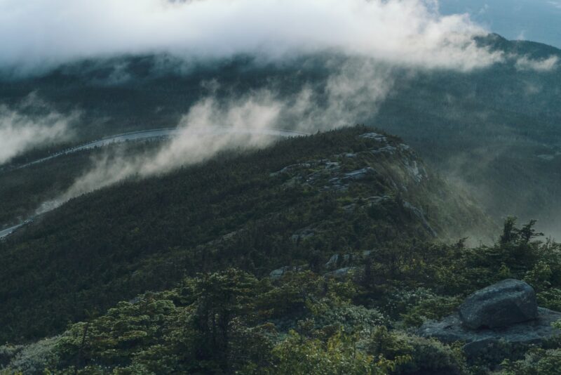 green-trees-and-mountains