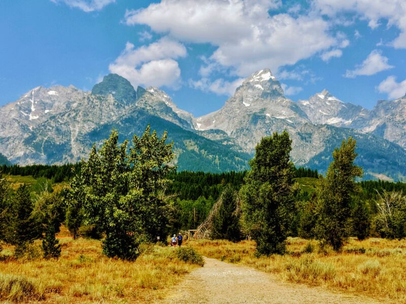 green-trees-and-mountains-under-blue-sky