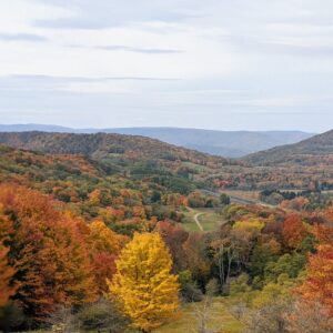green-and-brown-trees-on-mountain-under-white-clouds
