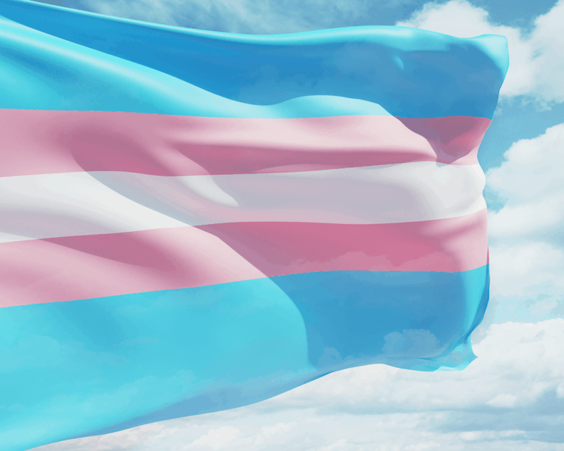 transgender pride flag